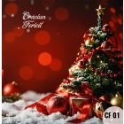Oferta Christmas - Hardcover - patrat 20x20 - *10 Colaje